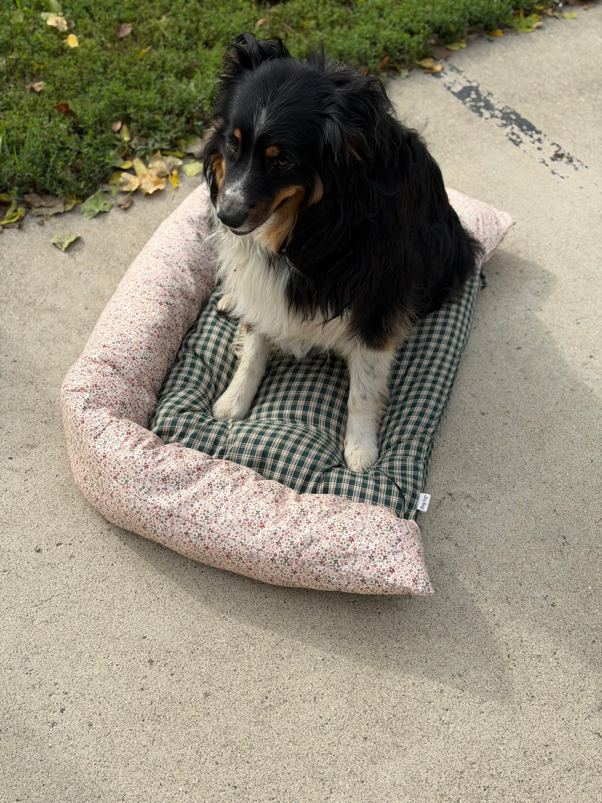 Flower Flannel Medium Dog Bed