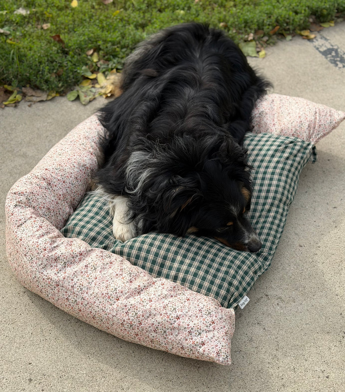 Flower Flannel Medium Dog Bed